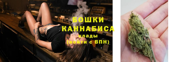 тгк Няндома