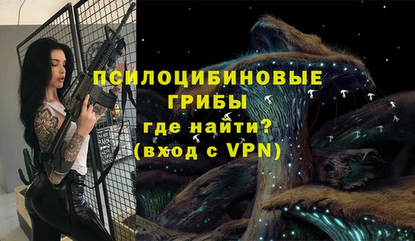 ALPHA PVP Нязепетровск