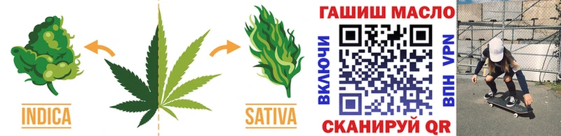 Купить  Старая Русса  Дистиллят ТГК концентрат 