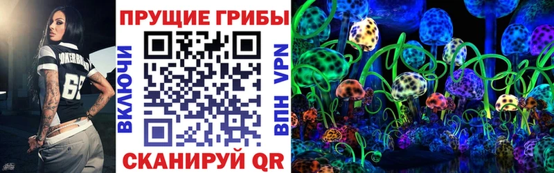 Галлюциногенные грибы мицелий  Купить где  Старая Русса 